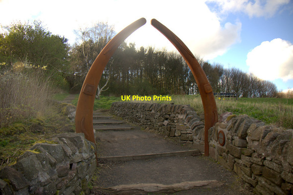Photo 6"x4" Arch on path up Dundee Law Downfield\/NO3833 c2014