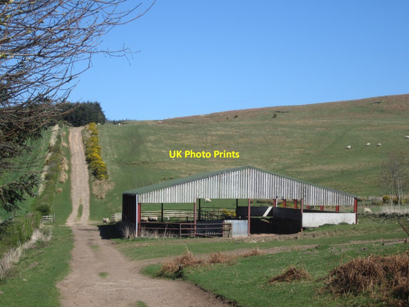 Photo 6"x4" Shed and grassland Doddington\/NT9932 c2014