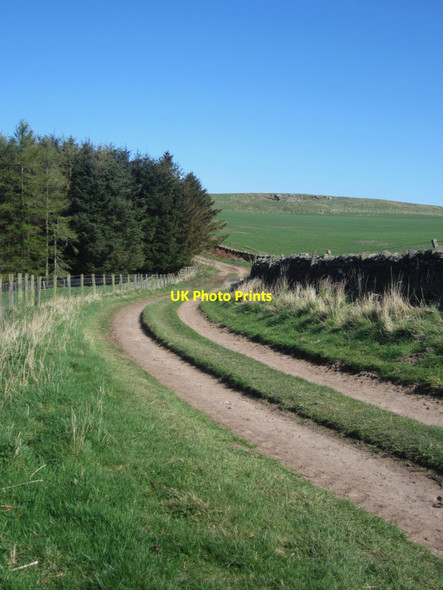 Photo 6"x4" Track crossing farmland east of Doddington Doddington\/NT9932 c2014