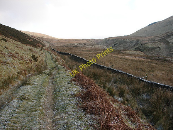 Photo 6"x4" Track leading towards Waun Llinau Aberangell c2008