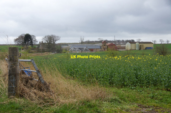 Photo 6"x4" The Peel, Tibbermore Tibbermore c2014