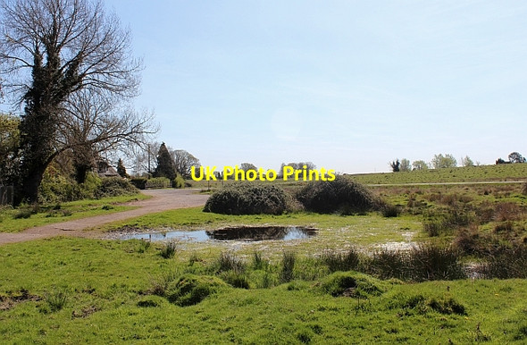 Photo 6"x4" Pond, Castlemorton Common Welland c2014