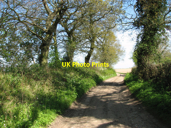 Photo 6"x4" View along Wing's Lane Wood Norton\/TG0128 c2014