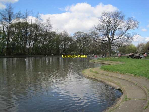 Photo 6"x4" Pond, Paddy Freemans' Park Longbenton c2014