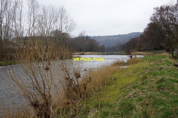 Photo 6"x4" Weir on the Tweed at Peebles above the Tweed Bridge Peebles\/NT2540 c2014