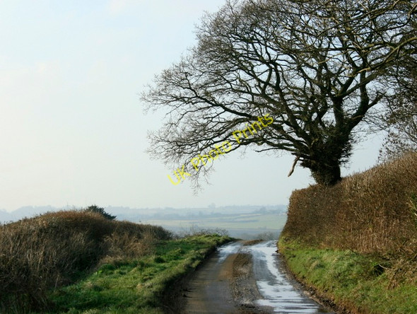 Photo 6"x4" 2008 : Looking down Cock Lane Hinton\/ST7376 c2008