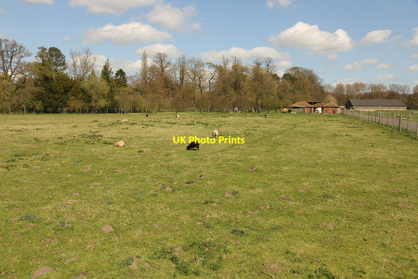 Photo 6"x4" Elsham Hall Country Park Elsham c2014