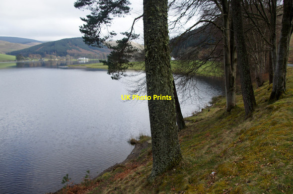 Photo 6"x4" The southern end of St Mary's Loch at Rodono Bowerhope c2014