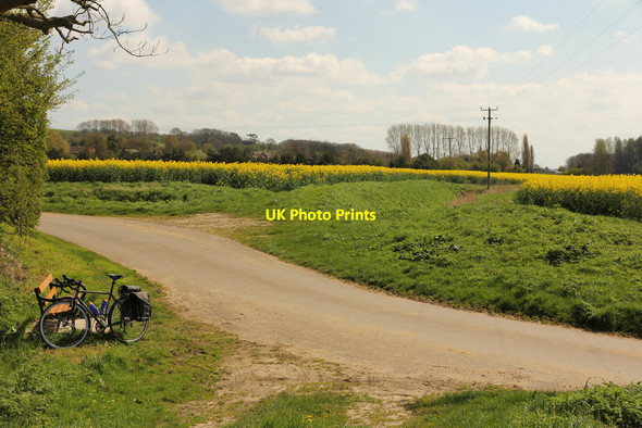 Photo 6"x4" Carr Lane Bonby c2014