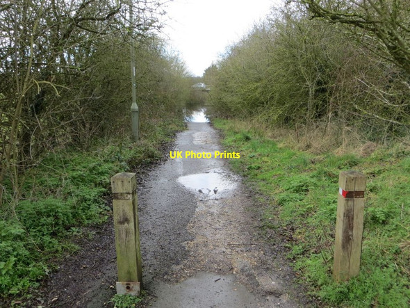 Photo 6"x4" Chilton side of the footpath Chilton\/SU4885 c2014
