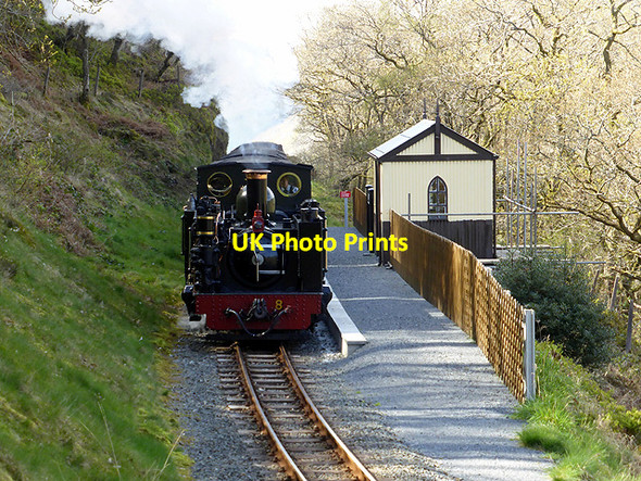 Photo 6"x4" Vale of Rheidol Railway at Rhiwfron Devil's Bridge\/Pontarfynach c2014