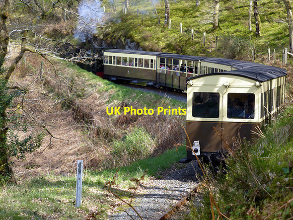 Photo 6"x4" Vale of Rheidol Railway at Rhiwfron Devil's Bridge\/Pontarfynach c2014