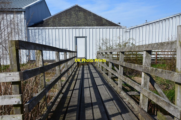 Photo 6"x4" Footbridge at Broughton Brewery Broughton\/NT1136 c2014