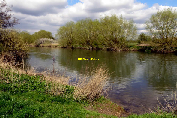 Photo 6"x4" The River Thames near Radley Lower Radley c2014
