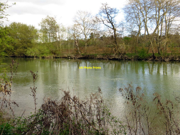 Photo 6"x4" The River Thames near Radley Lower Radley c2014