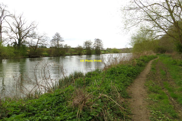 Photo 6"x4" The Thames Path to Abingdon Radley\/SU5298 c2014