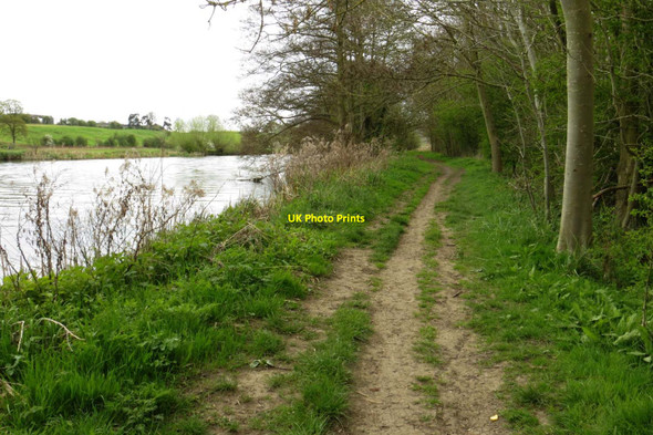 Photo 6"x4" The Thames Path to Abingdon Radley\/SU5298 c2014