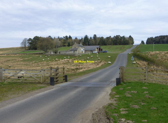 Photo 6"x4" Cattle grid by Elsdon Burn Otterburn Camp c2014