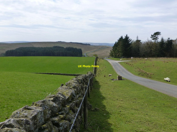 Photo 6"x4" Fine stone walls and pasture Otterburn Camp c2014