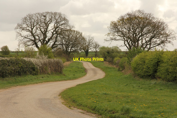 Photo 6"x4" Moor Lane Roughton\/TF2464 c2014