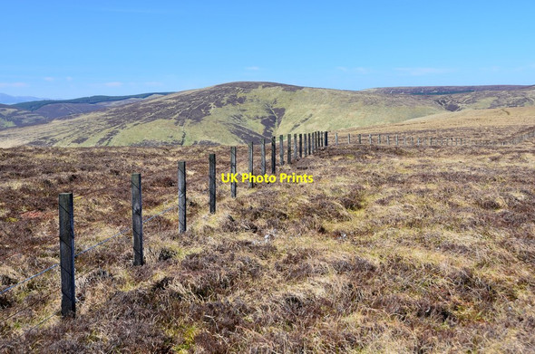 Photo 6"x4" Moorland fence Eastside Heights c2014