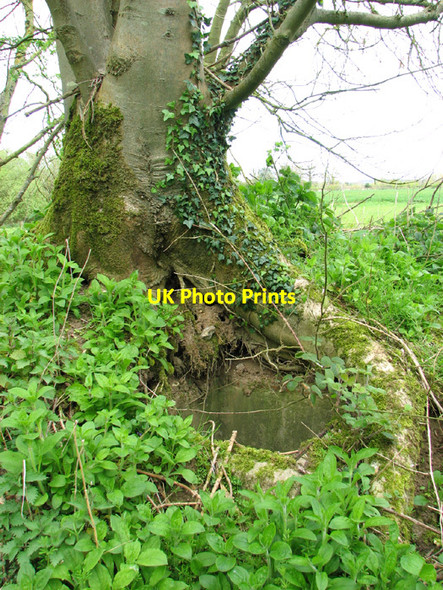 Photo 6"x4" RAF West Beckham radar station (B Site) Baconsthorpe c2014 P2
