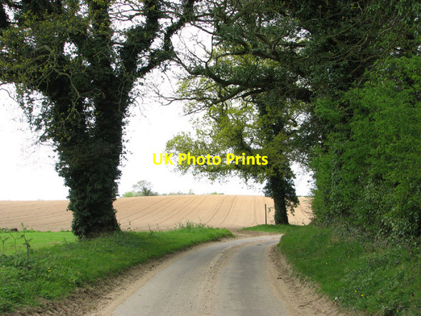 Photo 6"x4" Unnamed lane past Ruse's Plantation Bessingham c2014