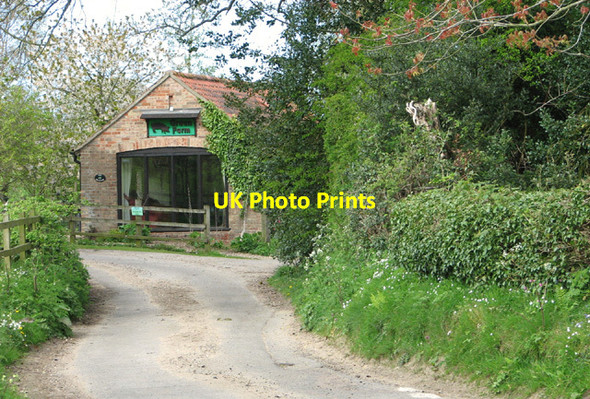 Photo 6"x4" Lane past Green Farm Plumstead Green\/TG1234 c2014