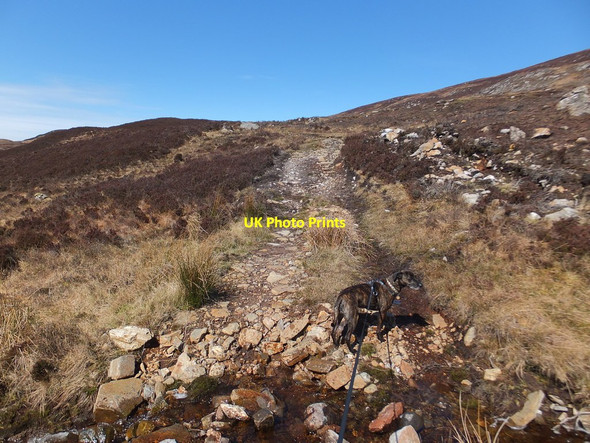 Photo 6"x4" Ford on estate track, Glenmarksie Loch a' Chairn Duibh c2014