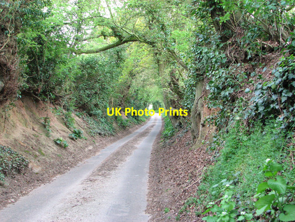 Photo 6"x4" View along Scarrow Beck Lane Calthorpe\/TG1831 c2014