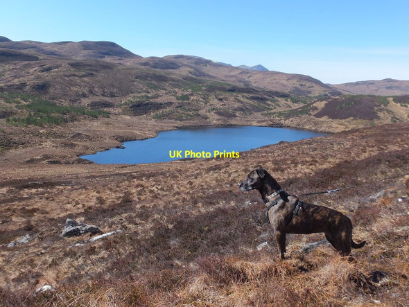 Photo 6"x4" Moorland by Loch a' Chairn Duibh Sgurrachd Ire c2014