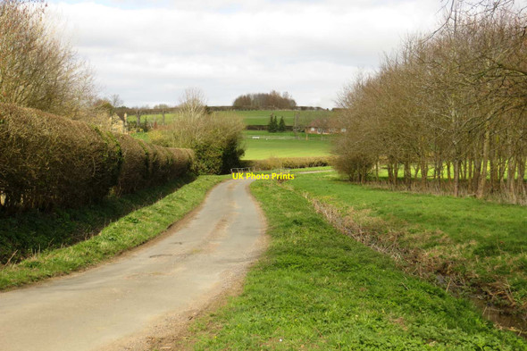 Photo 6"x4" Chilworth Road near Great Milton Camp Corner c2014