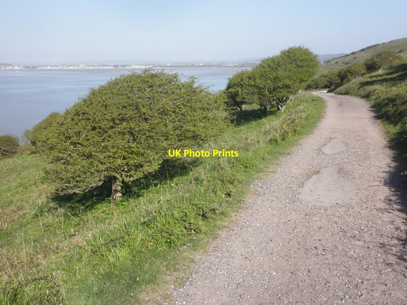 Photo 6"x4" Track, on the north side of Brean Down Clarence Park c2014