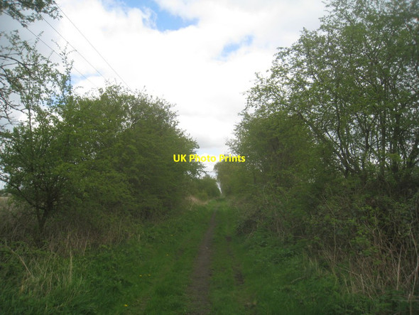 Photo 6"x4" Bubwith Rail Trail Highfield\/SE7236 c2014