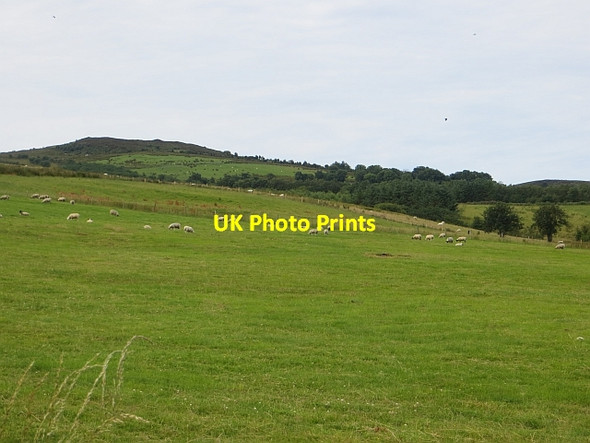 Photo 6"x4" Silverhill Townland Artigarvan c2013