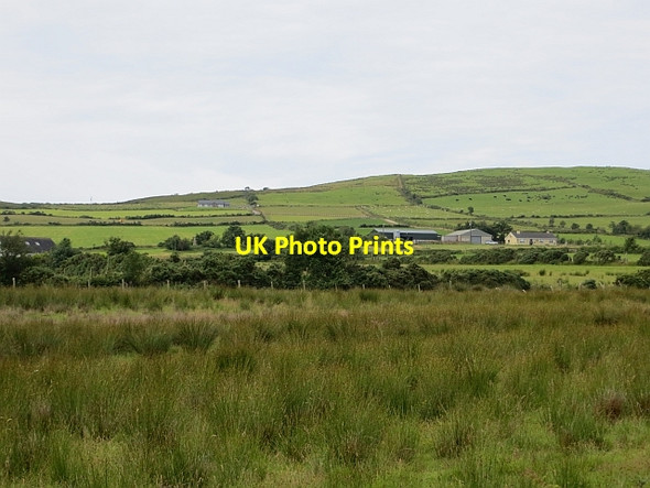 Photo 6"x4" Holly Hill Artigarvan c2013