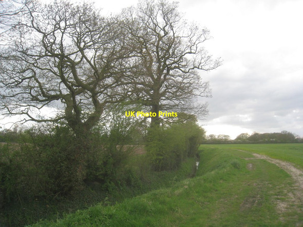 Photo 6"x4" Footpath alongside Londesborough Drain Spaldington c2014