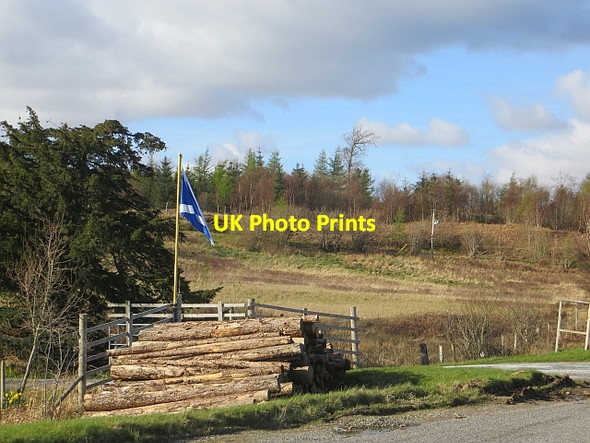 Photo 6"x4" Log pile, Lochdon Lochdon c2014