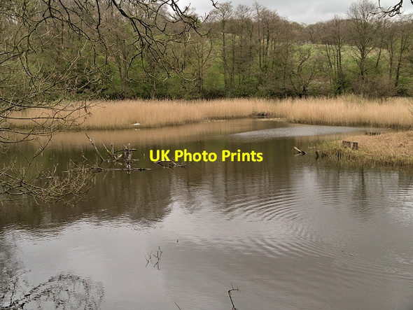 Photo 6"x4" Top Lodge, Yarrow Valley Park Birkacre c2014