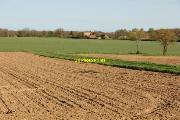 Photo 6"x4" Billockby farmland Billockby c2014