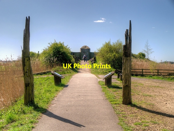 Photo 6"x4" Path to the Harrier Hide, Martin Mere Wetland Centre New Lane c2014