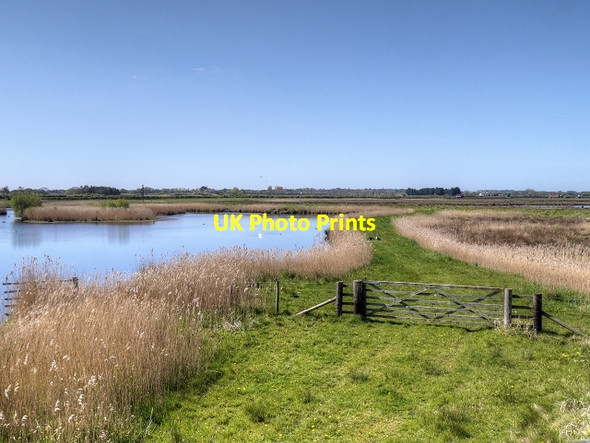 Photo 6"x4" Martin Mere WWT Centre - View Towards Woodend Marshes New Lane c2014