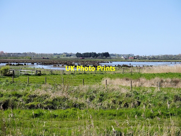 Photo 6"x4" View from United Utilities Hide, Martin Mere WWT Centre Tarlscough c2014