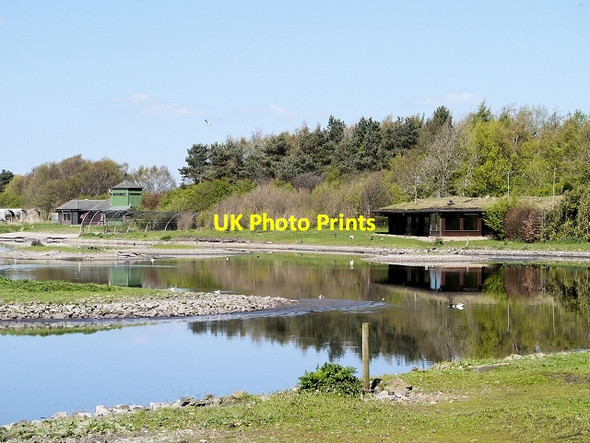 Photo 6"x4" Wetland Centre, Martin Mere Tarlscough c2014