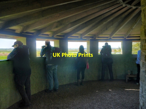 Photo 6"x4" Birdwatching at Martin Mere WWT Centre Tarlscough c2014