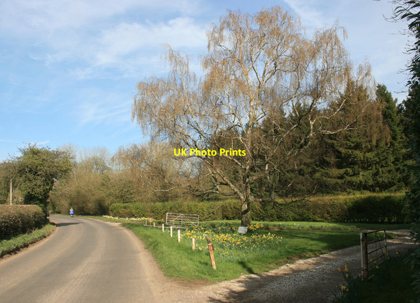 Photo 6"x4" Road by Greenfield Manor (springtime) Greenfield\/SU7191 c2014