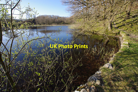 Photo 6"x4" High Arnside Tarn Knipe Fold c2014