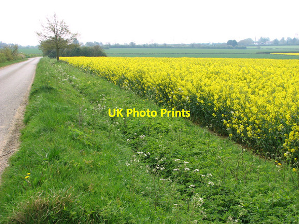 Photo 6"x4" View along Watery Lane Beeston\/TF9015 c2014