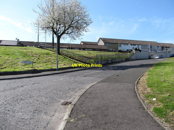 Photo 6"x4" Houses in Ardgreen Drive, Barcroft Park, Newry Newry c2014