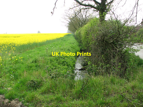 Photo 6"x4" Field boundary ditch and hedge Longham\/TF9415 c2014